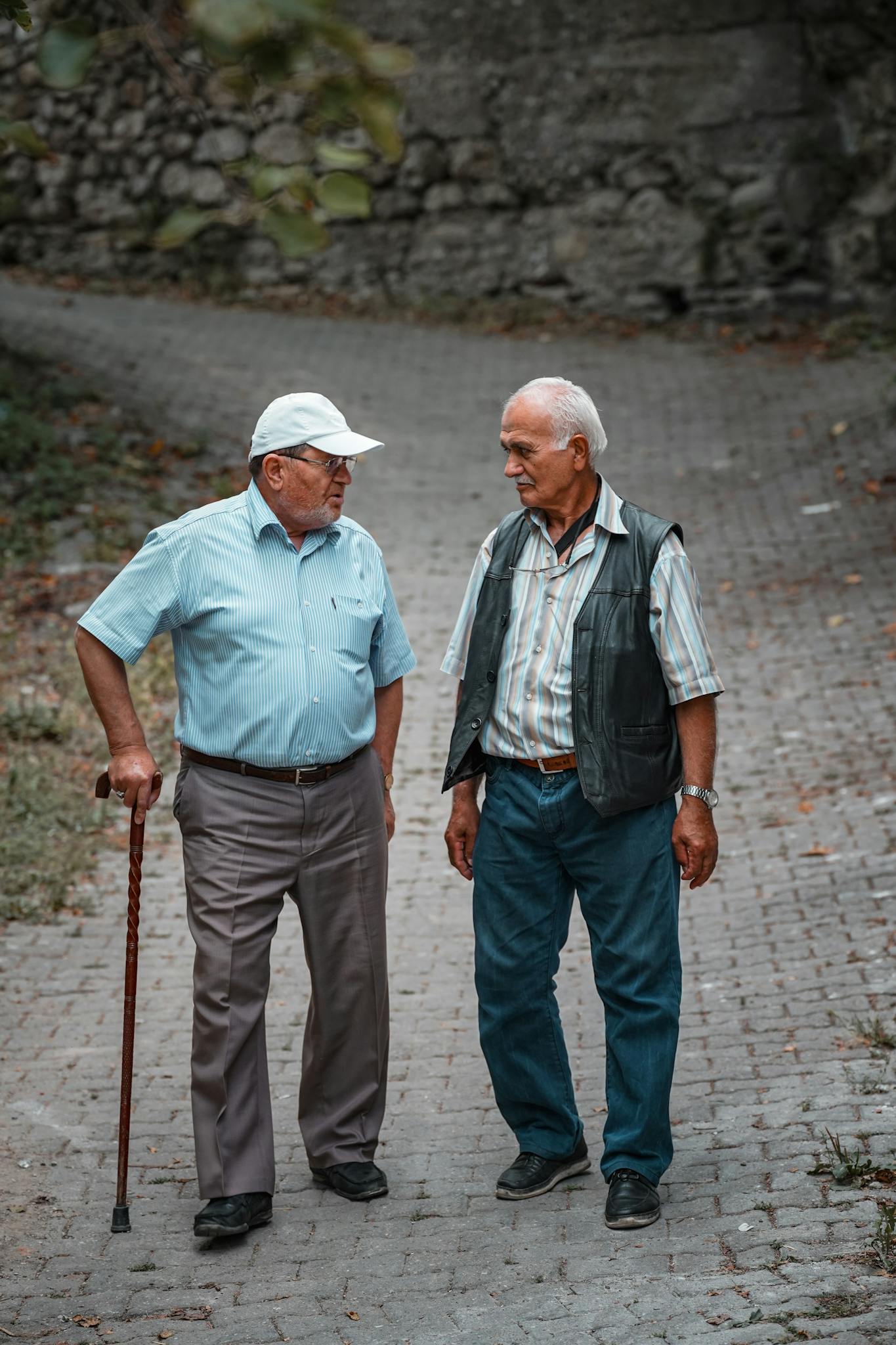 Two elderly men interacting while walking outdoors, promoting friendship and companionship.